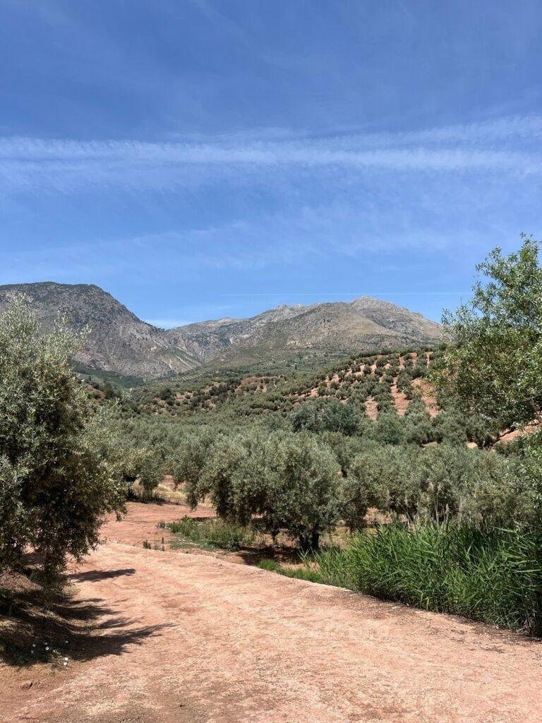 Gravel to Granada, foto 8