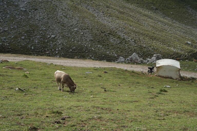 Cobijo en la Cuenca del rio Duje, foto 3