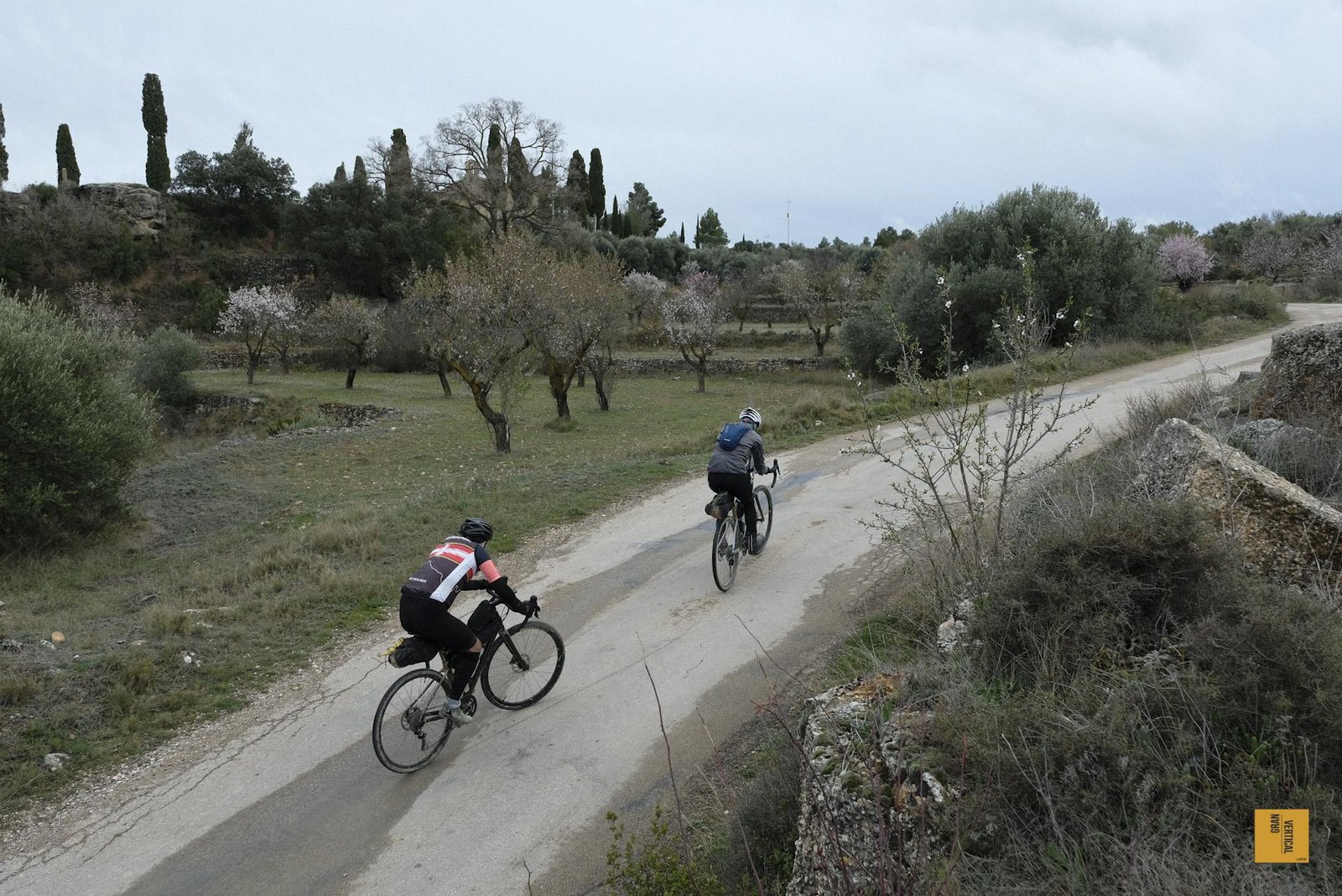 Associació CAT700 Catalunya